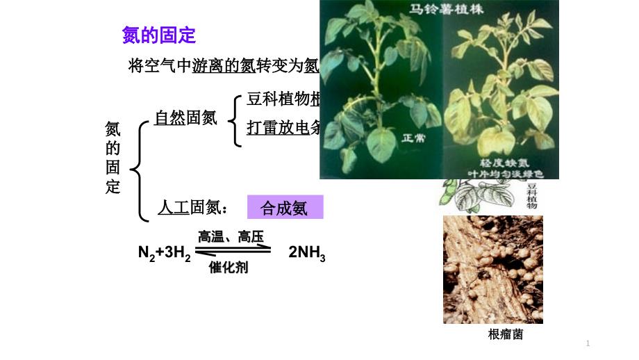 人教版高中化学必修一第四章第四节氨硝酸硫酸课件_第1页