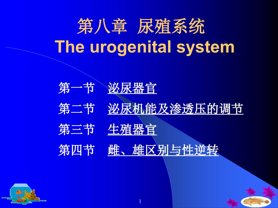 鱼类学-尿殖系统教学ppt课件_第1页