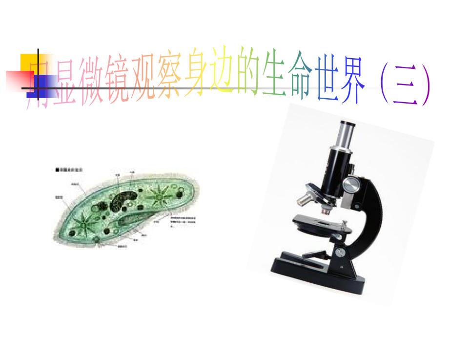 《用显微镜观察身边的生命世界(三)》课件_第1页