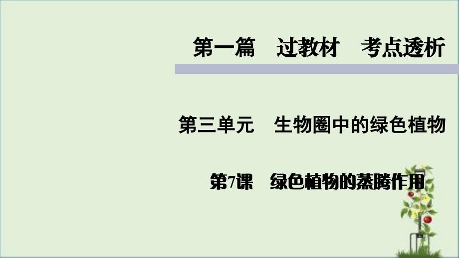 人教版七年级上册生物知识点精讲ppt课件绿色植物的蒸腾作用_第1页