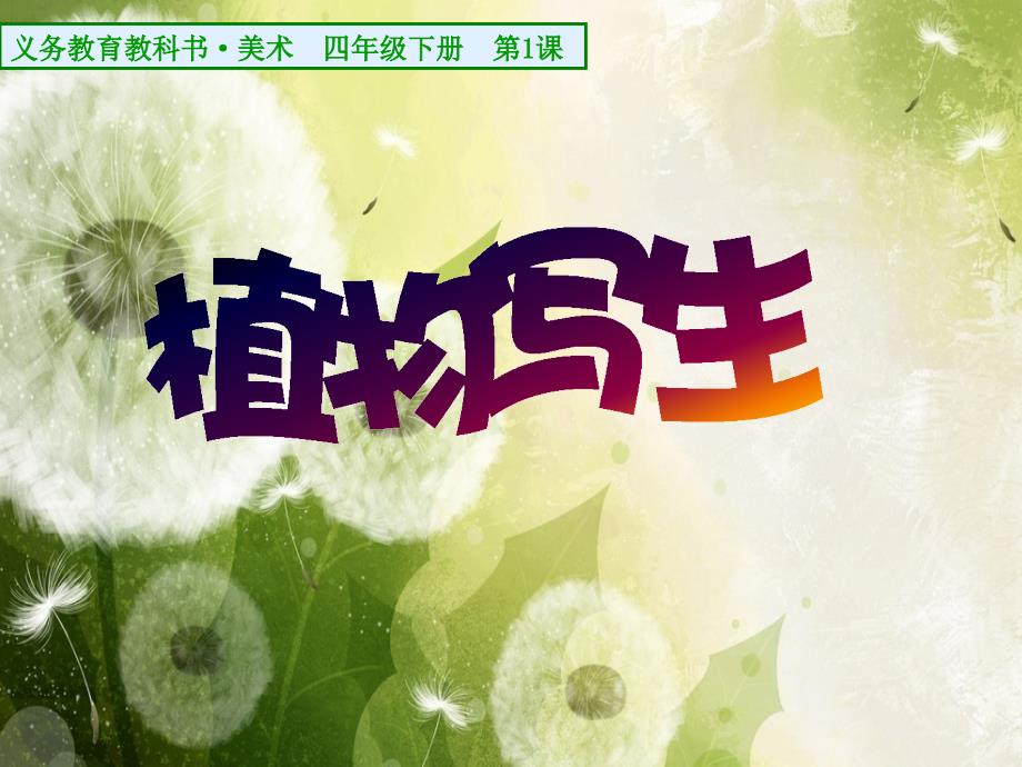 四年级下册第1课《植物写生》课件_第1页