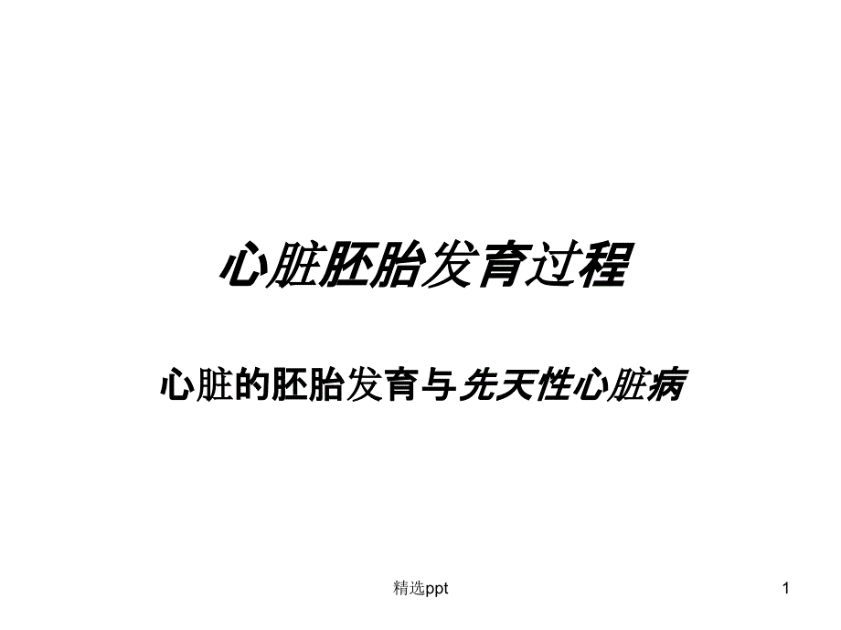 心脏胚胎发育过程课件_第1页