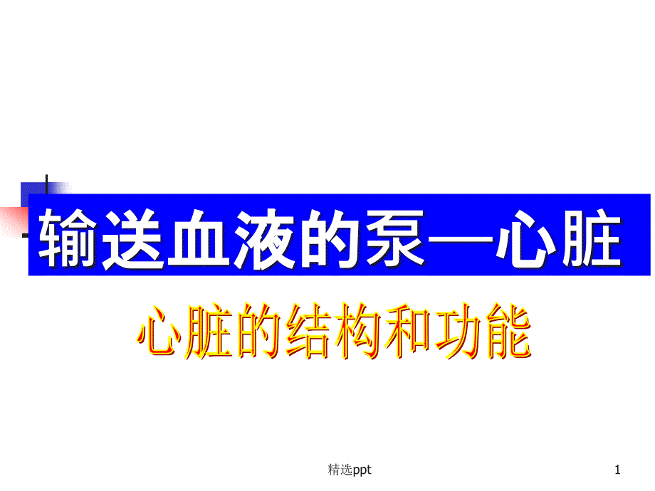 心脏的结构和功能79596课件_第1页