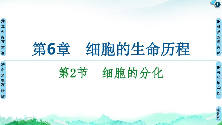 【新教材】细胞的分化-ppt课件-【新教材】人教版高中生物必修第一册_第1页