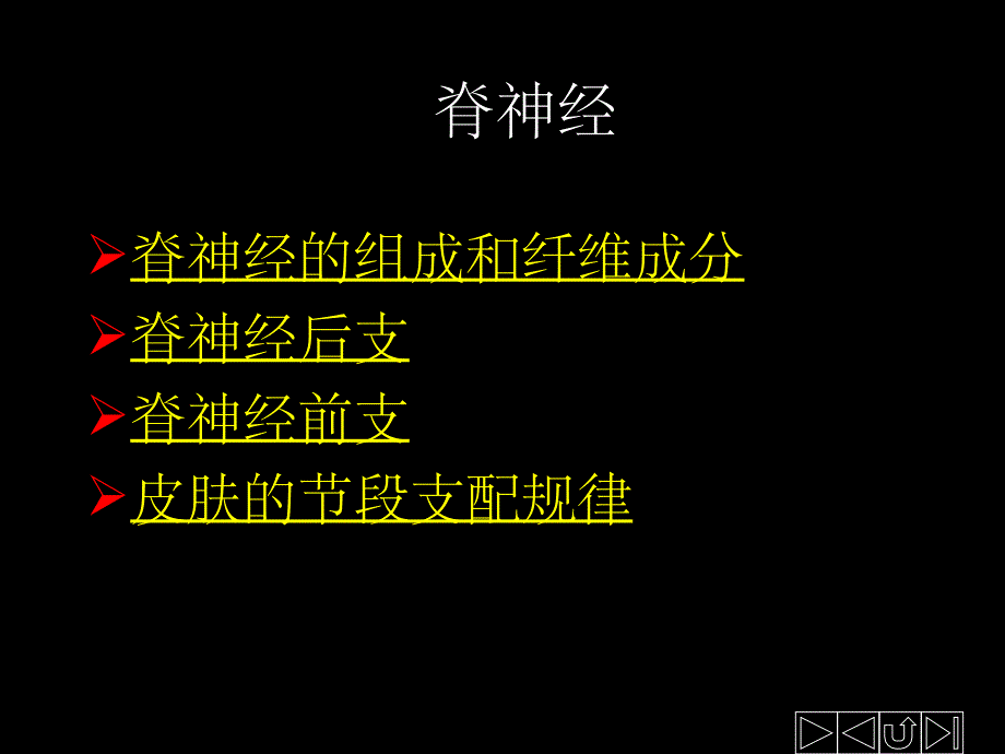 脊神经支配课件_第1页