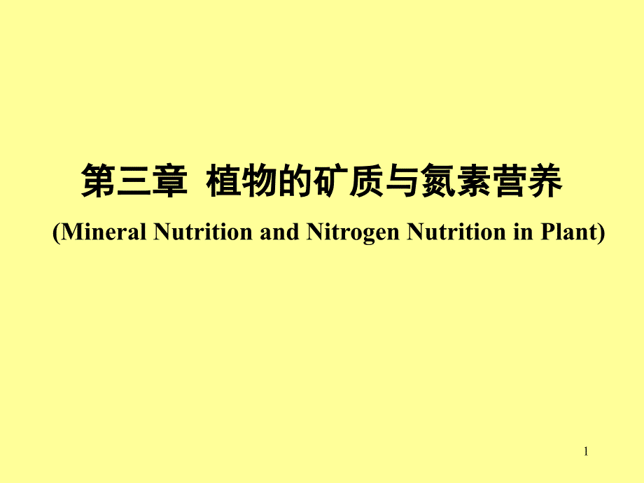 根系吸收矿质课件_第1页