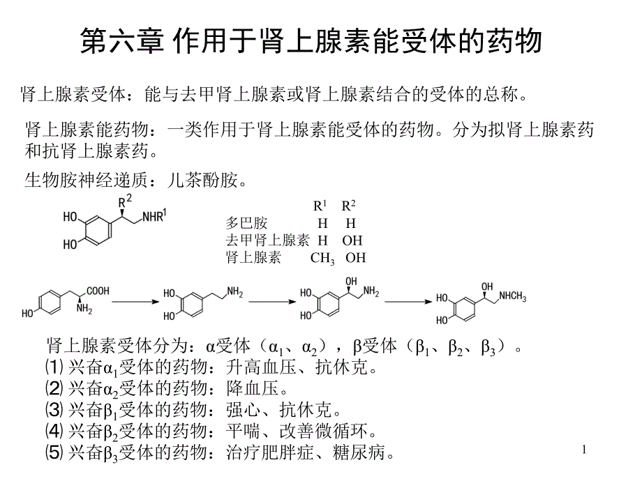 006-拟肾上腺素药和抗肾上腺素药课件_第1页