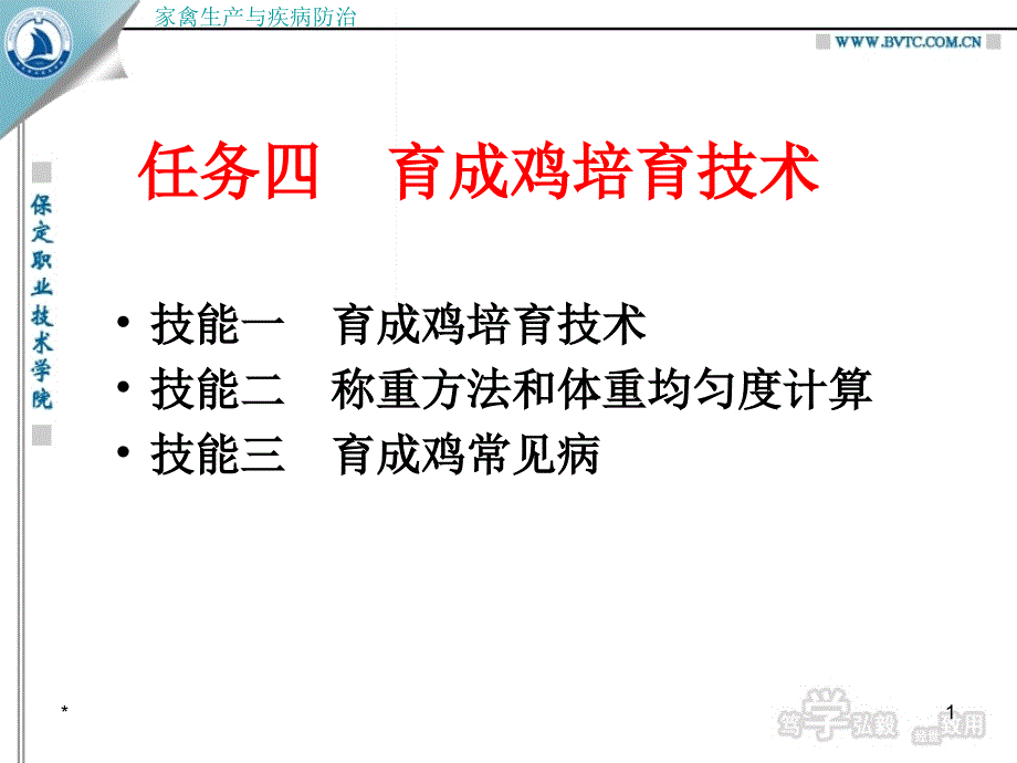 明确育成鸡的培育标准课件_第1页