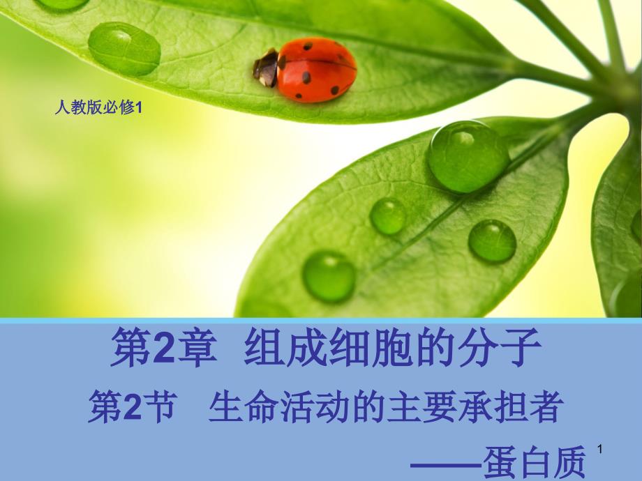 生物22生命活动的主要承担者蛋白质ppt课件2人_第1页