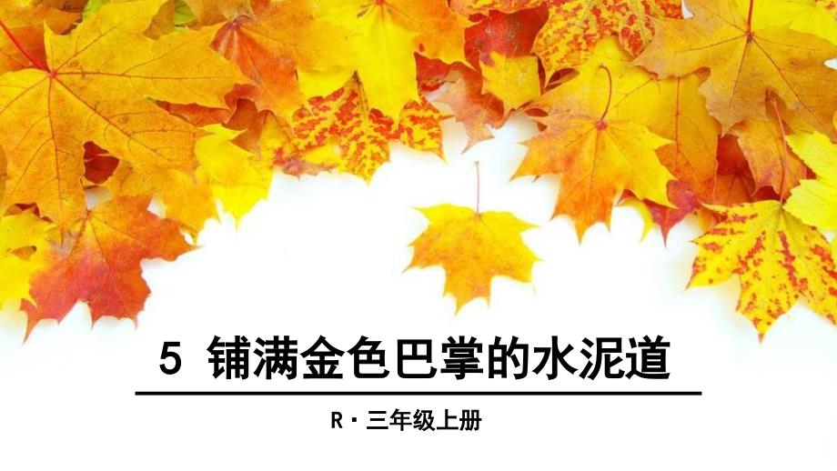 部编人教版小学语文三年级上册铺满金色巴掌的水泥道优质课一等奖课件_第1页