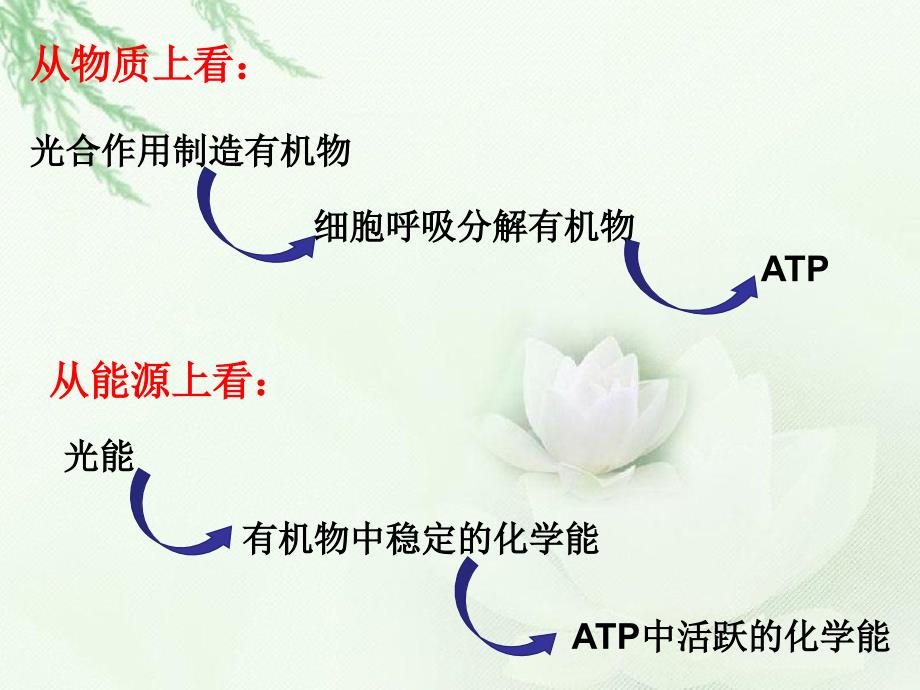 能量之源光和光合作用课件_第1页