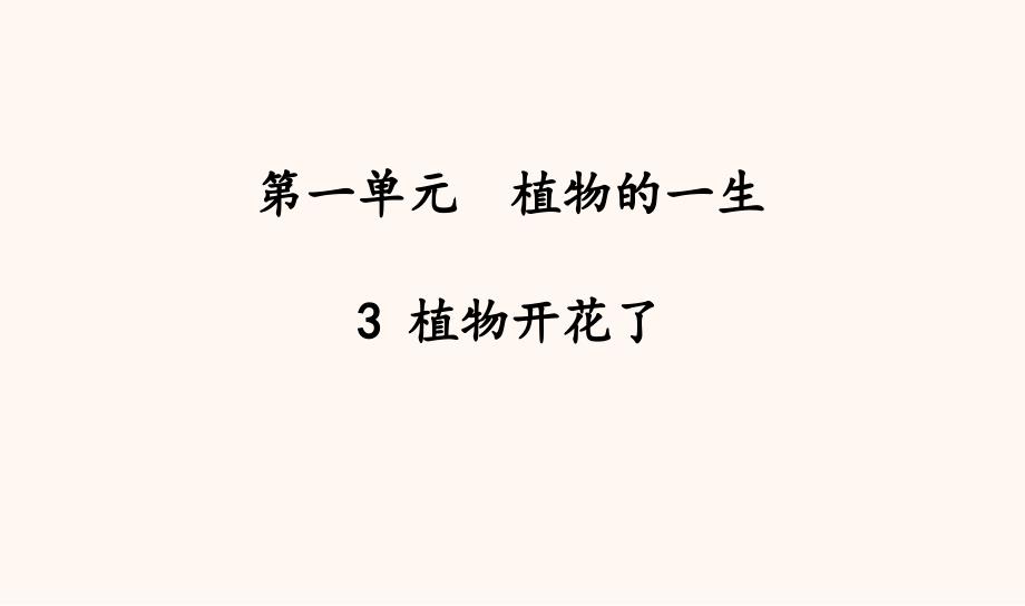 苏教版三年级科学下册教学3植物开花了ppt课件_第1页