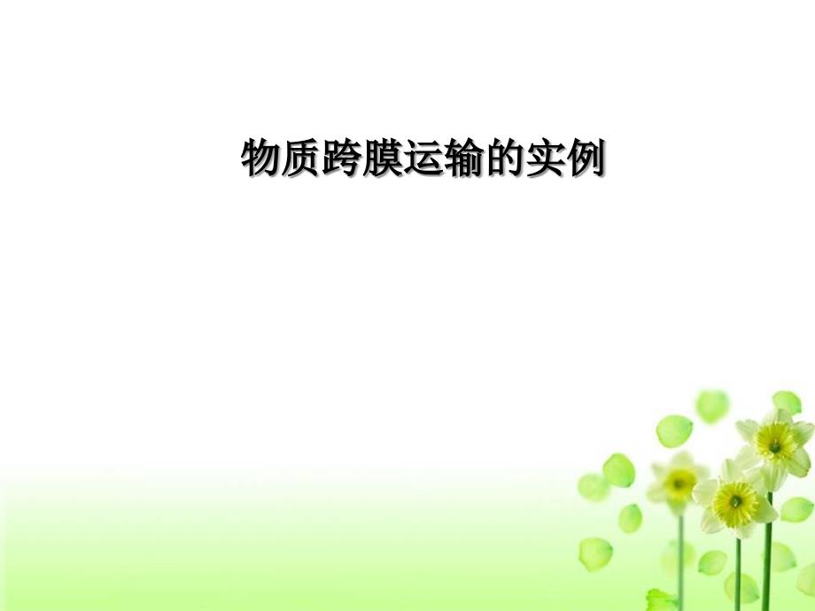 人教版生物必修一4.1《物质跨膜运输的实例》教学ppt课件_第1页