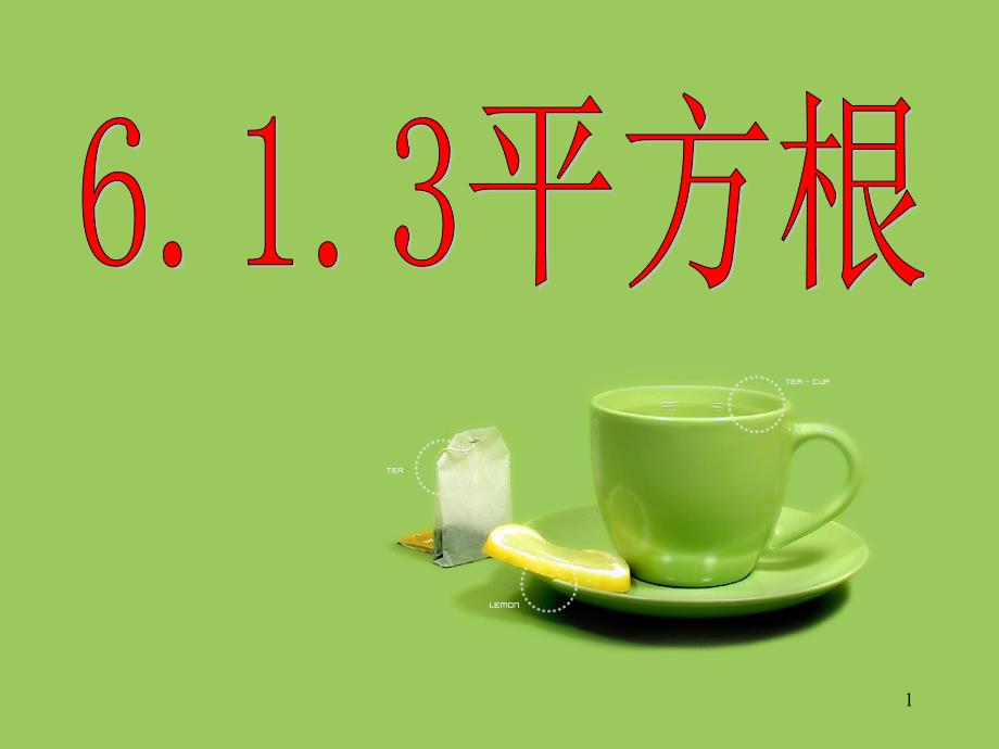 人教版七年级数学下册6.1.3平方根ppt课件_第1页