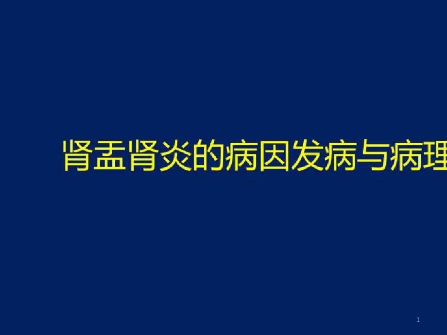 各类型肾炎的病理学研究_肾盂肾炎的病因发病与病理特点课件_第1页