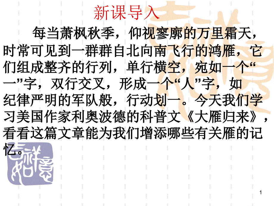 大雁归来ppt课件_第1页