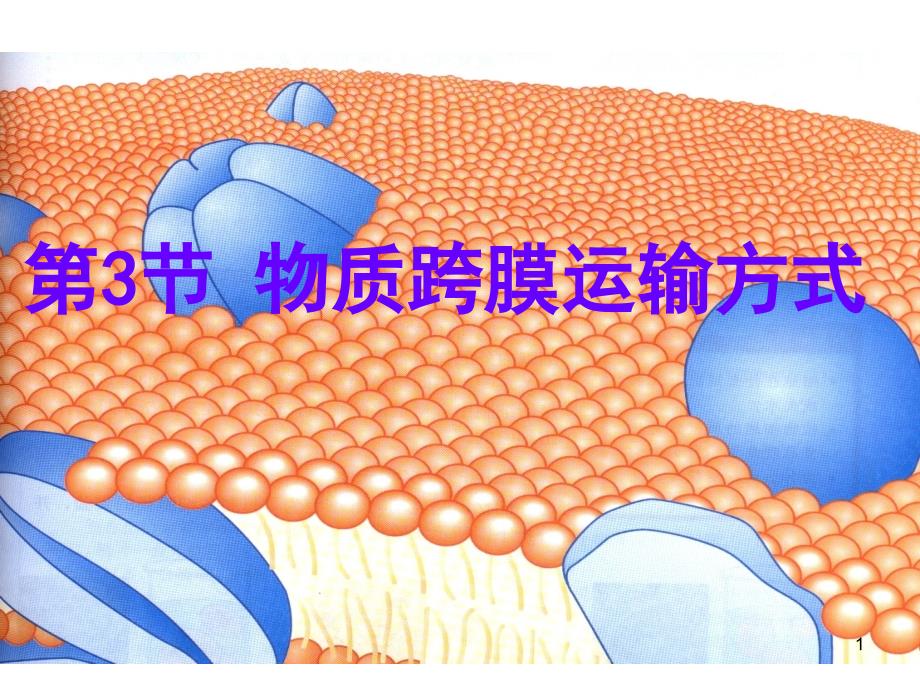 生物：43物质跨膜运输的方式ppt课件3新人教版必修1_第1页