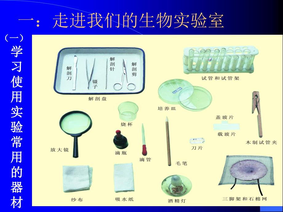 转动粗准焦螺旋课件_第1页