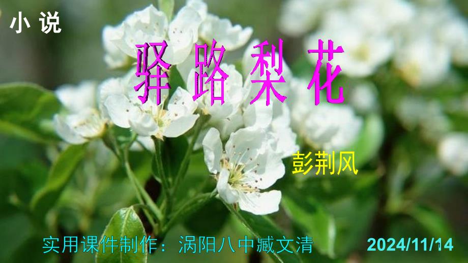 《驿路梨花》ppt课件_第1页