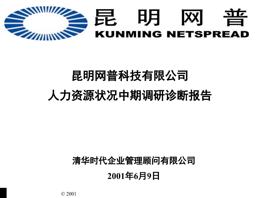 某某科技公司人力资源诊断调研报告课件_第1页