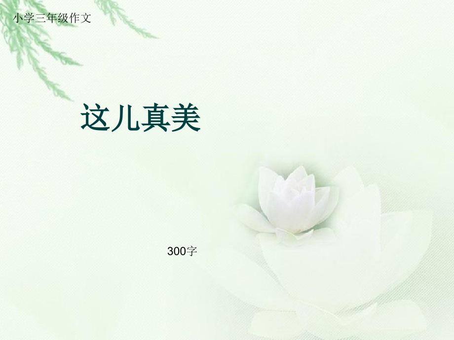 小学三年级作文《这儿真美》300字课件_第1页