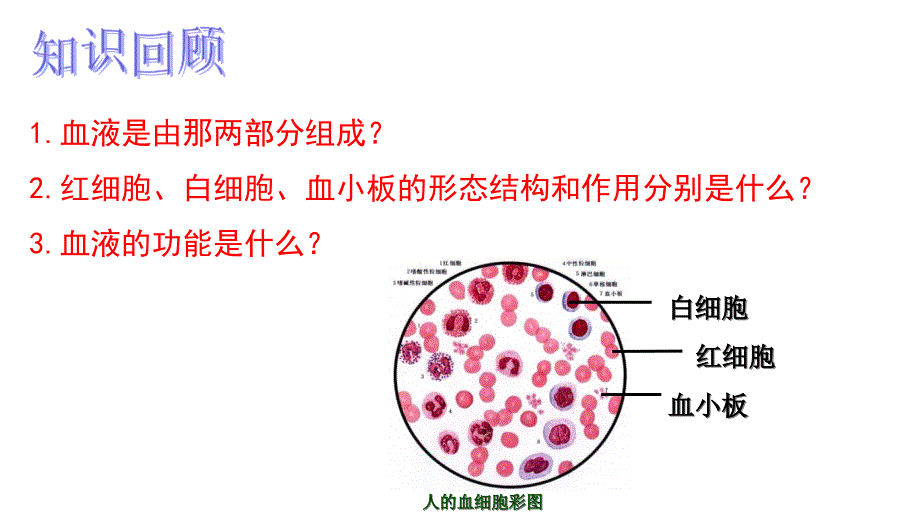 人教版七年级下册生物ppt课件第四章第二节血流的管道血管_第1页