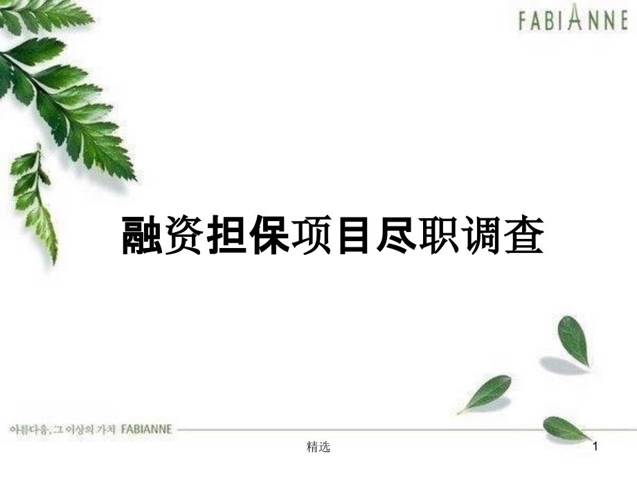 融资担保项目尽职调查课件_第1页