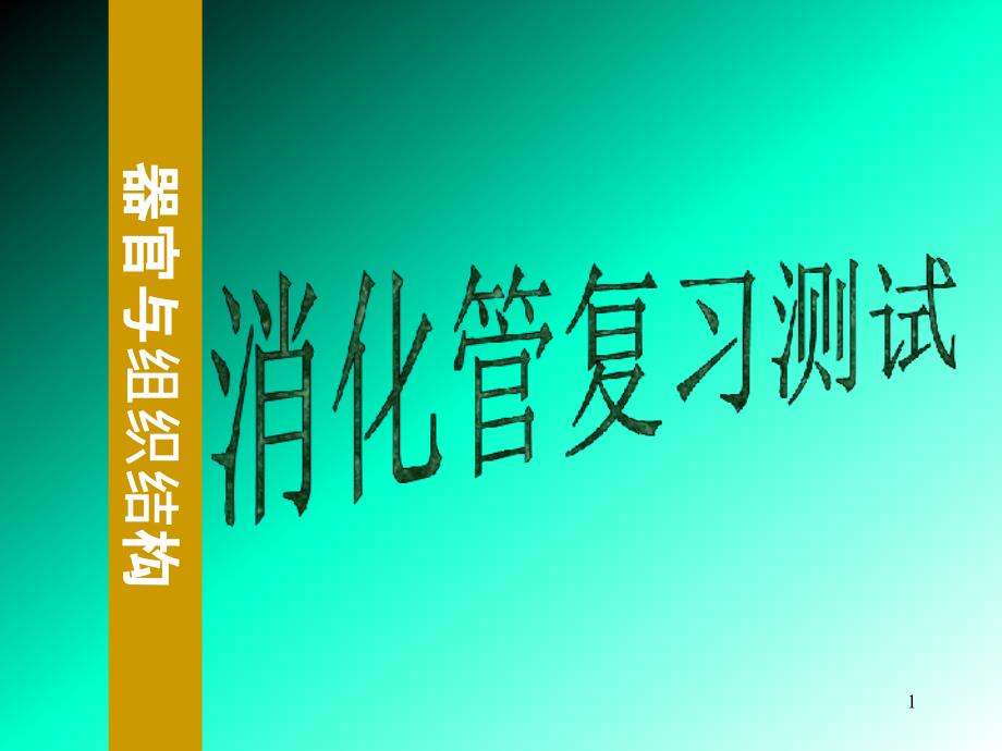 组织学与胚胎学实验考试1 器官与组织结构 课件_第1页