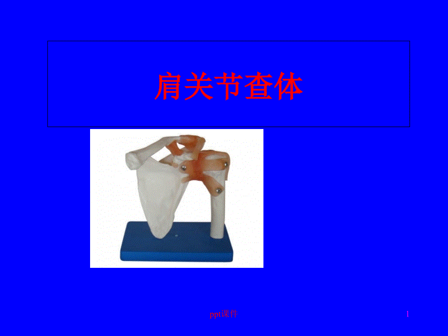 肩关节体格检查--课件_第1页