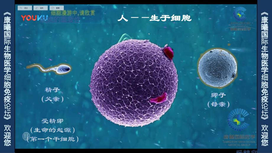 细胞疗法标准版课件_第1页