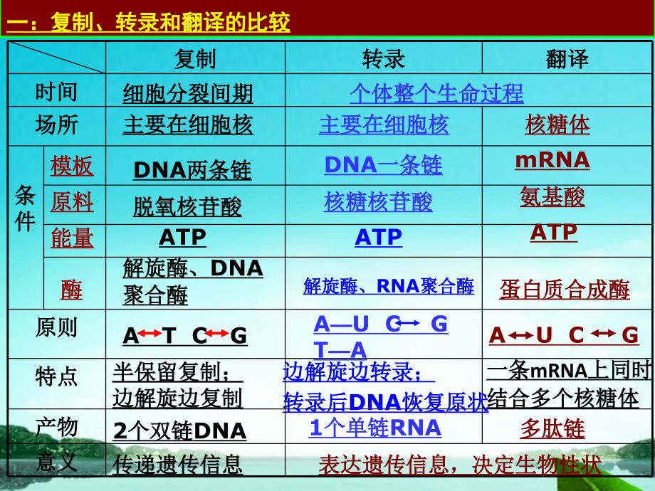 高中生物必修二期末复习修改版课件_第1页