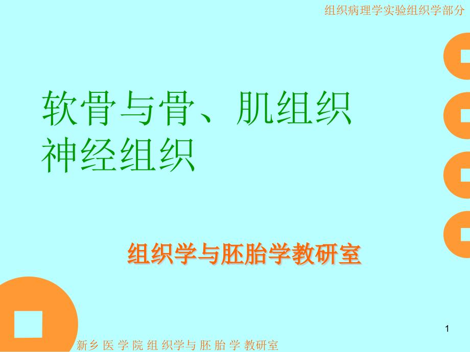 肌组织和神经组织 - PowerPoint 演示文稿课件_第1页