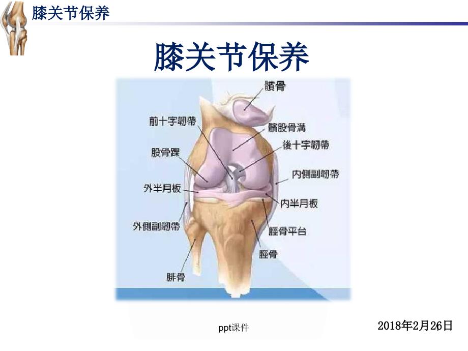 膝关节保养--课件_第1页