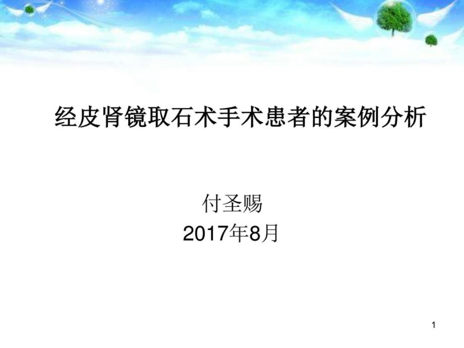 经皮肾镜手术患者的案例分析_课件_第1页