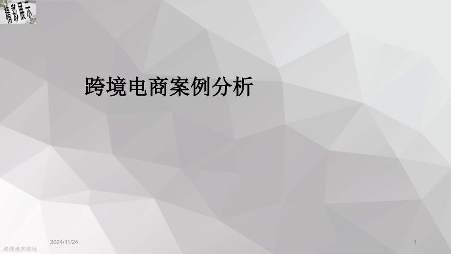 跨境电商案例分析课件_第1页