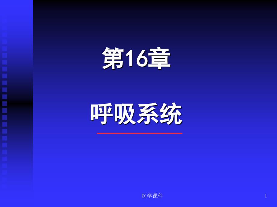 组织胚胎学--呼吸系统-2-课件_第1页