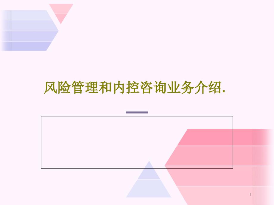 风险管理和内控咨询业务介绍课件_第1页