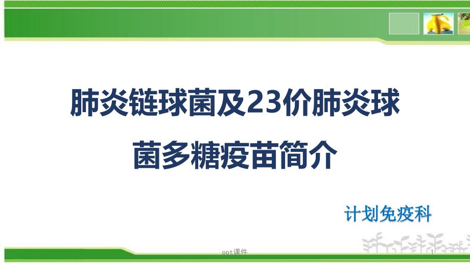 肺炎链球菌及23价肺炎球菌多糖疫苗简介--课件_第1页