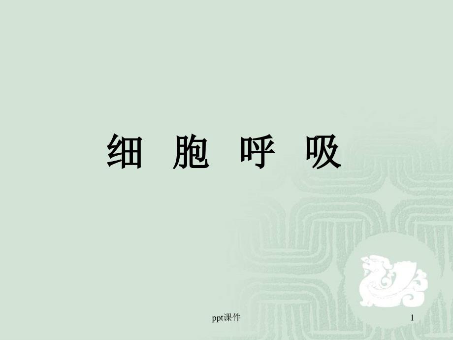 高中生物-细胞呼吸--课件_第1页