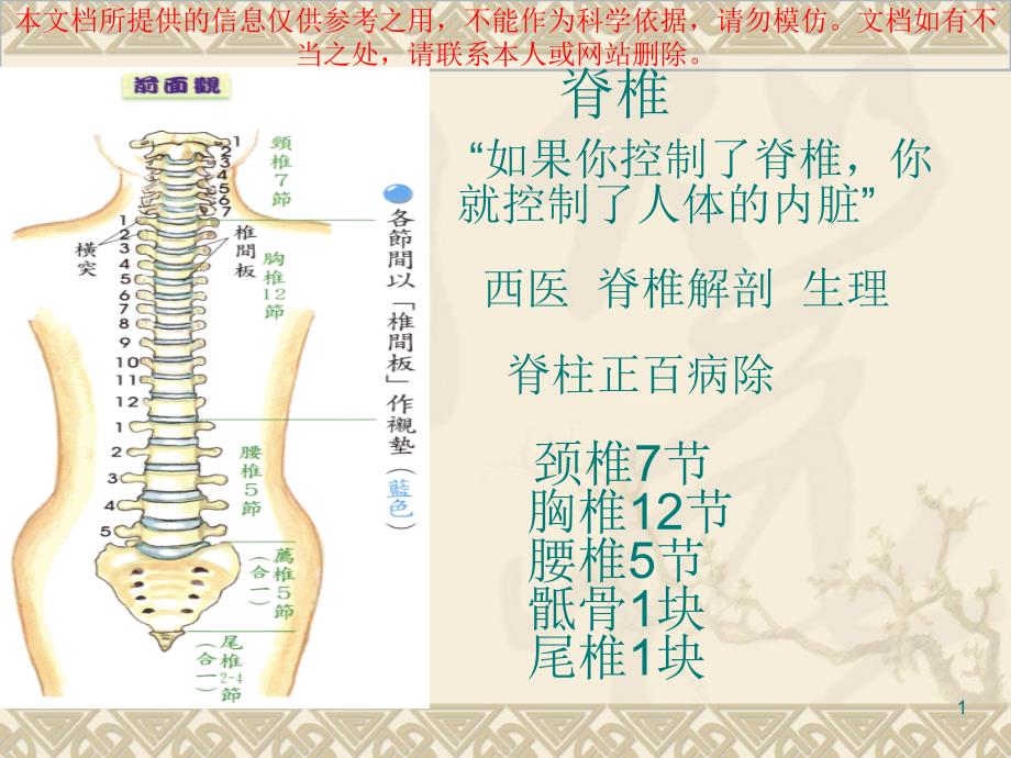 肩颈专业知识详解培训课件_第1页