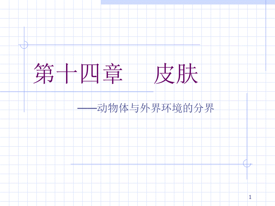 组织与胚胎学 第十四章 皮肤课件_第1页