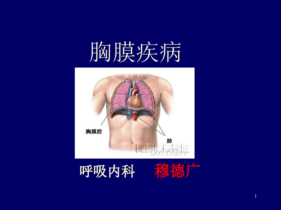 胸膜疾病课件_第1页