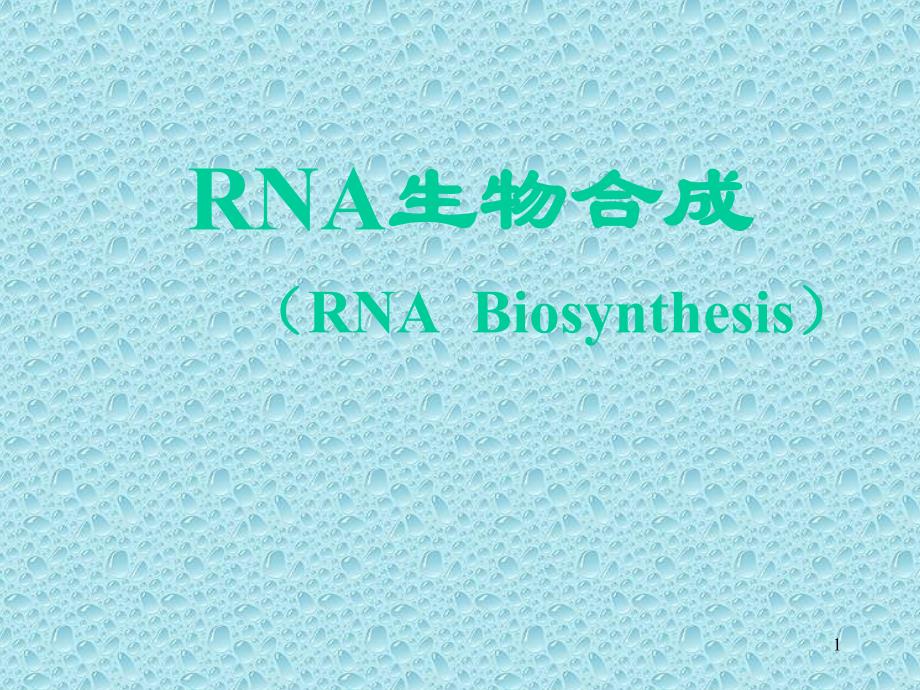 课件-RNA生物合成_第1页