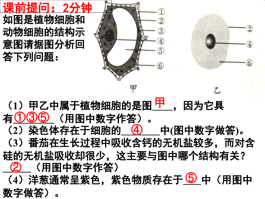 细胞通过分裂而增殖课件_第1页