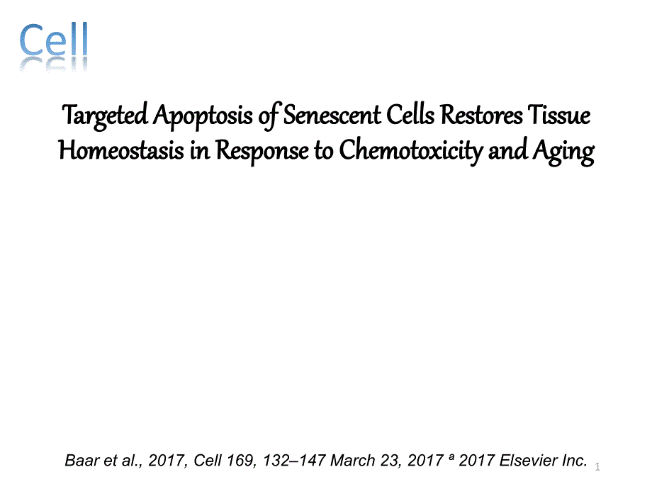 细胞衰老课件_第1页