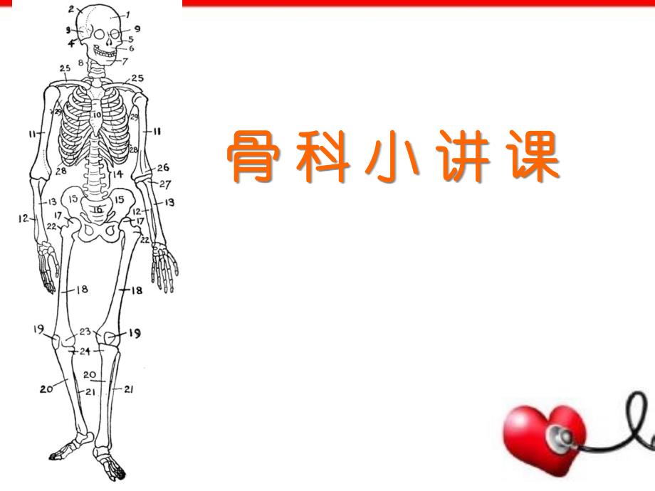 骨科小讲课教学课件_第1页