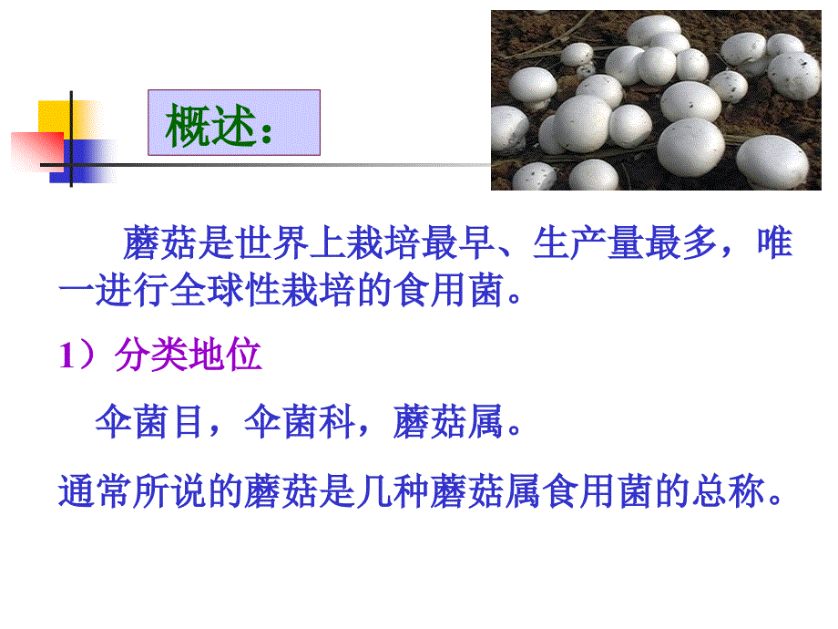 第四章蘑菇栽培技术_第1页