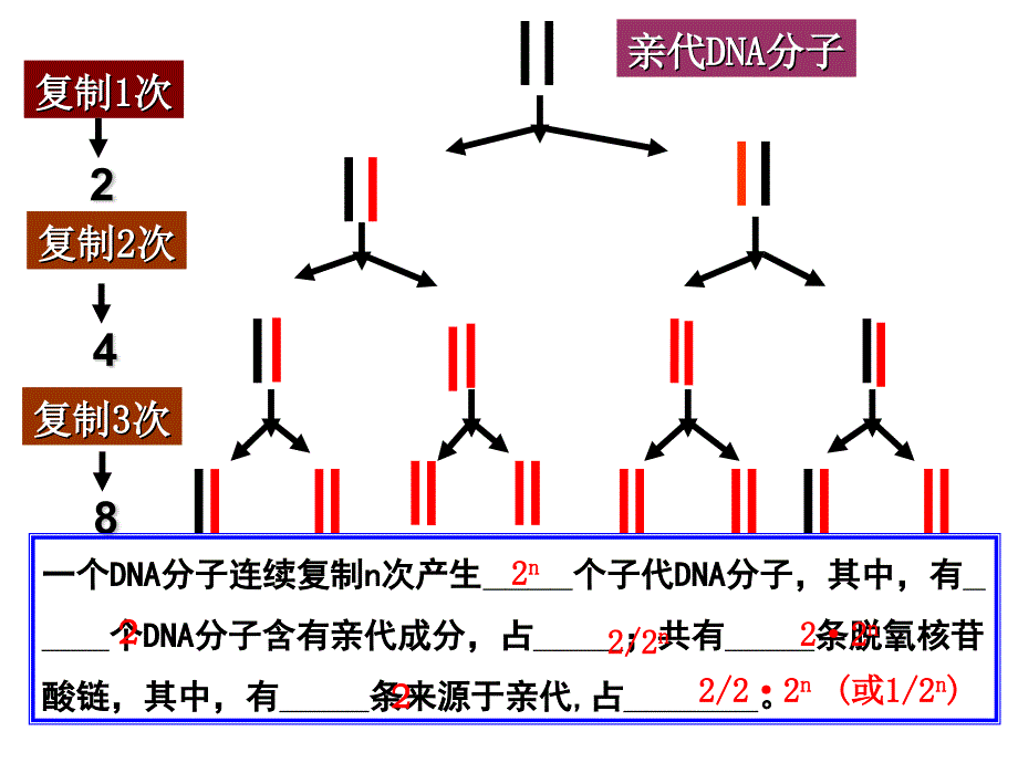 生物学基因是用_第1页