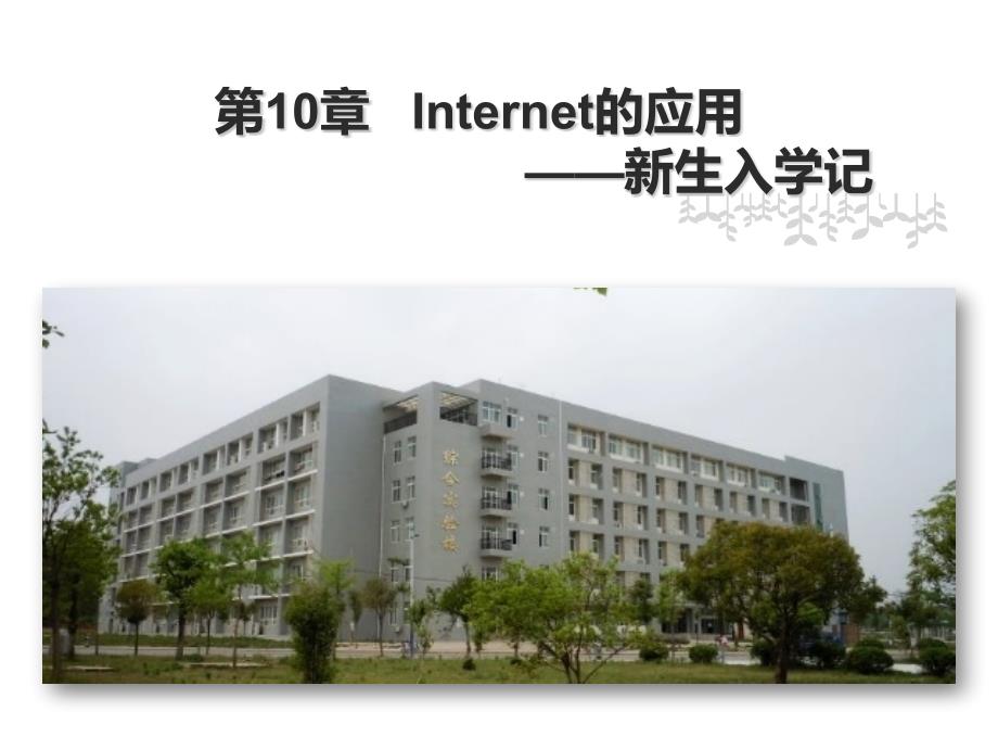 计算机应用基础第10章Internet的应用_第1页