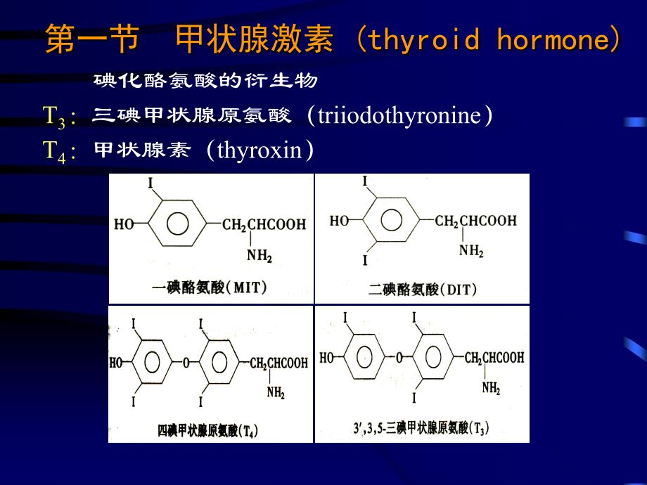 甲状腺及抗甲状腺药_第1页